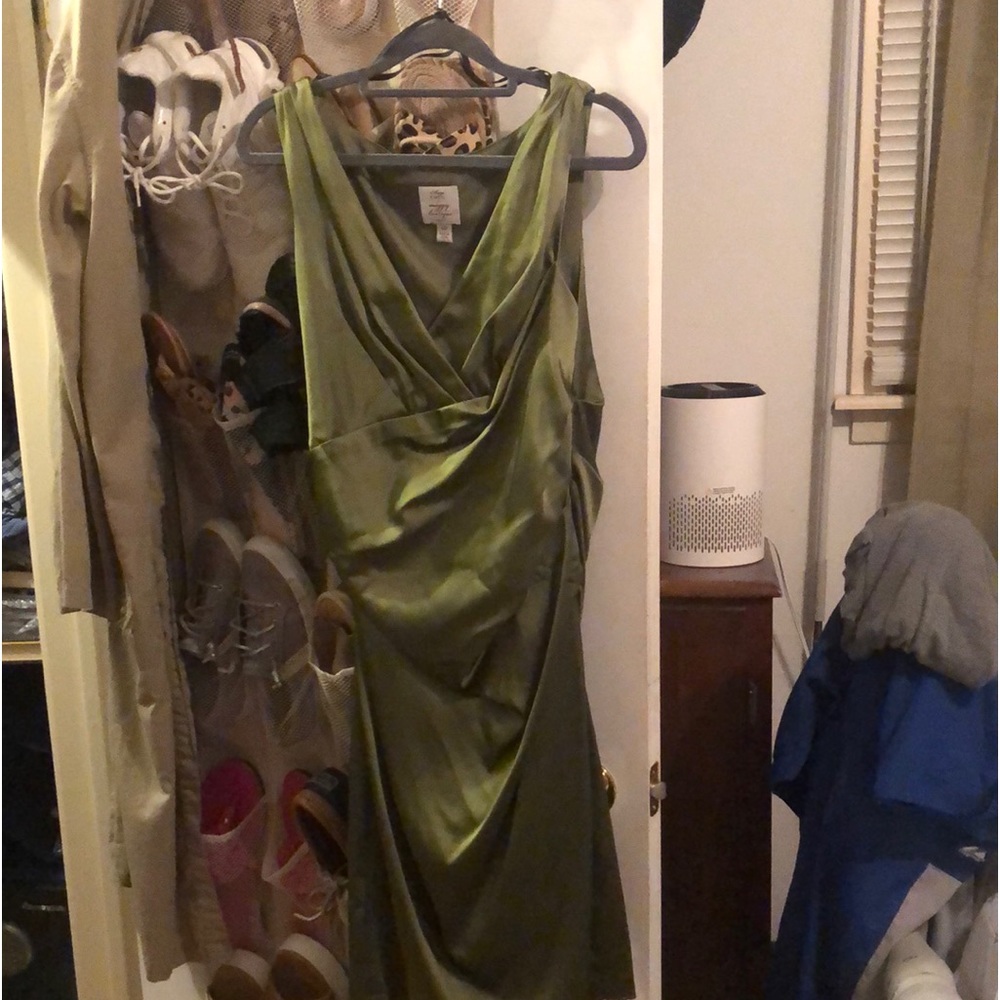 Suzi Chin Designer dress